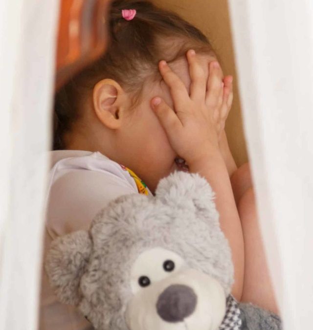 little-kid-hiding-behind-teddy-bear-2021-08-26-17-11-11-utc (1)